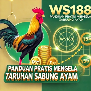 WS168: Panduan Praktis Mengelola Taruhan Sabung Ayam